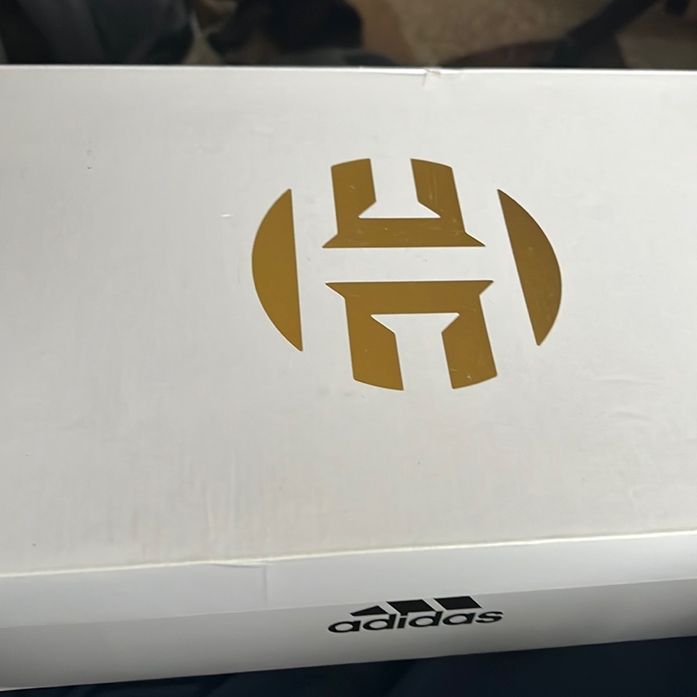 10.5 // basketball shoe// worn // with box